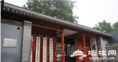愉乐圈