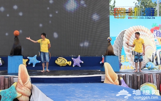 北京夏日狂欢圣地海洋沙滩节 八大游玩亮点连连看