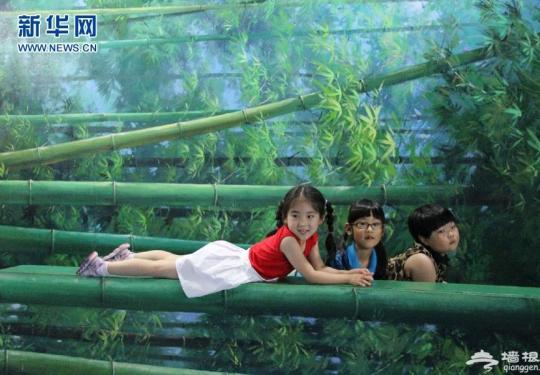 2013青岛国际3D魔幻艺术展在奥帆博物馆正式开幕