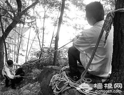 武汉动物园遭游客黑手：8条鳄鱼4条被砸死