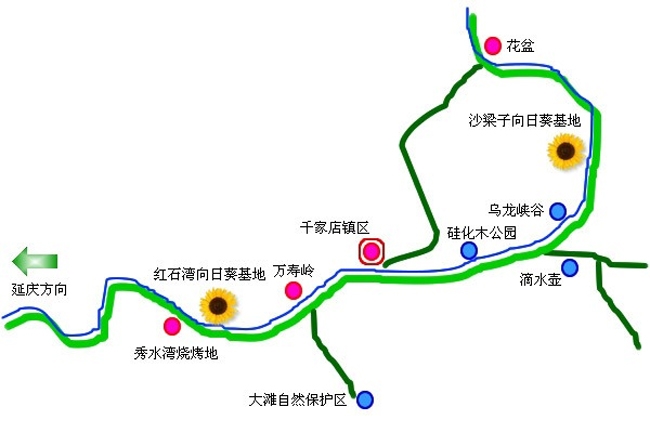 百里山水画廊 那一片葵花海的艳羡