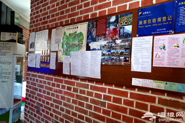 百里山水画廊 那一片葵花海的艳羡