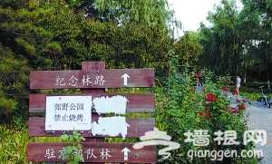 回访京郊野公园露天烧烤：仍有人无视警告变本加厉[墙根网]