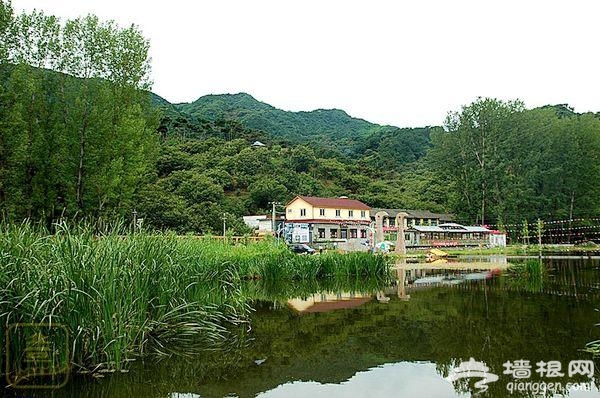 渤海镇河沿湿地公园游趣多