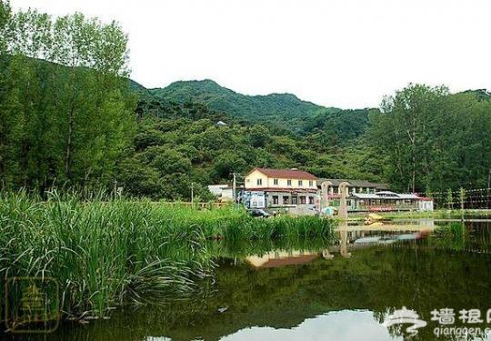 渤海镇河沿湿地公园游趣多