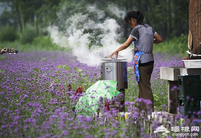 月牙湾里美食诱惑 让你的胃尽情享受