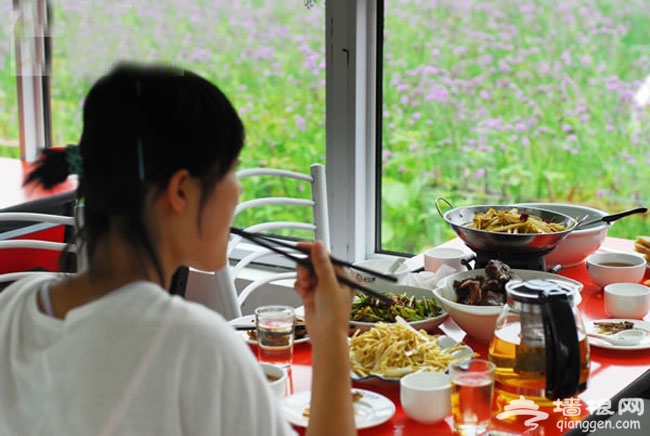 花田湖畔享美景 北京怀柔月牙湾花田游玩攻略