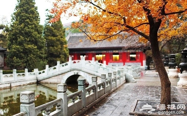 北京旅游最值得去的景点及玩法推荐[墙根网]
