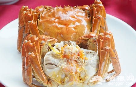 秋季菊黄蟹肥 京城蟹美味哪里找