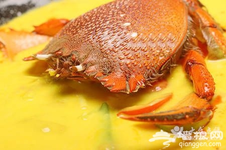 秋季菊黄蟹肥 京城蟹美味哪里找