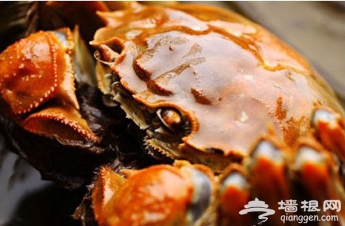 秋季菊黄蟹肥 京城蟹美味哪里找