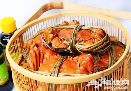 秋季菊黄蟹肥 京城蟹美味哪里找