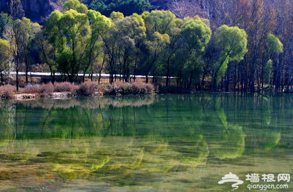 喇叭沟门原始森林 金秋登高赏美景