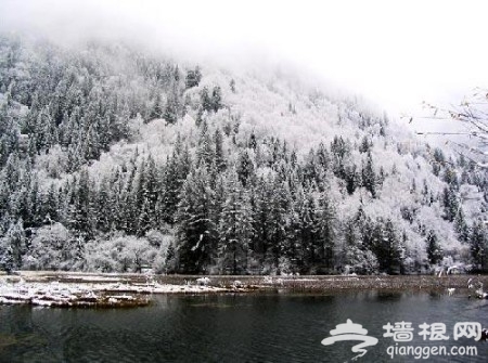 冰雪九寨
