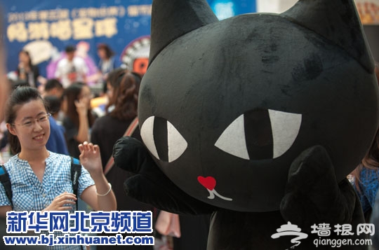 2013第五届猫节嘉年华在京举行