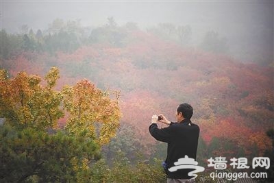 观民俗赏秋花登高戏水 丰台花好月又圆中秋活动季[墙根网]