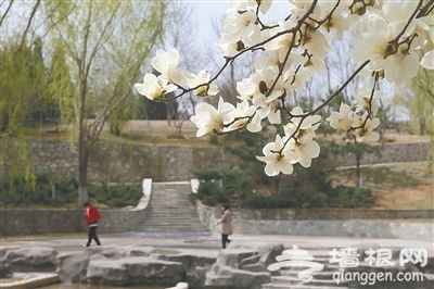 观民俗赏秋花登高戏水 丰台花好月又圆中秋活动季[墙根网]