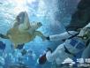 富国海底世界海洋馆