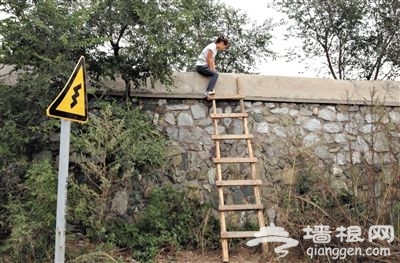 黑导游北京香山公园围墙搭梯送游客进出