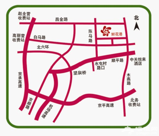 十一去赏花 北京国际鲜花港菊花展
