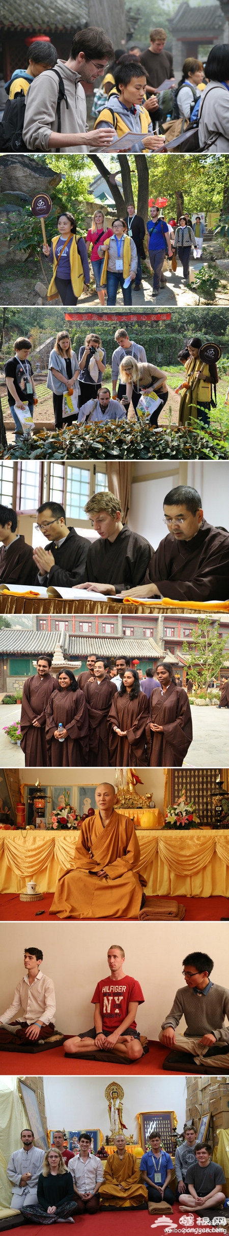 龙泉寺举办为时七天的中国传统文化体验活动