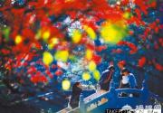 2013香山红叶节本月12日开幕