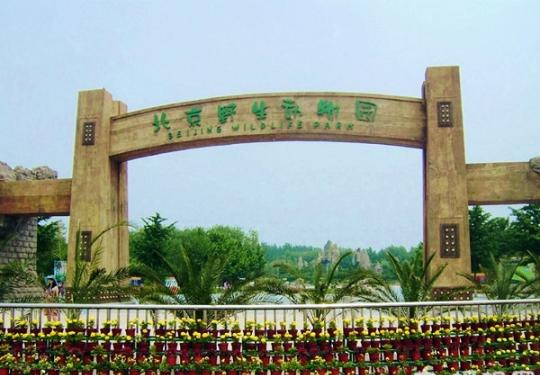 北京野生动物园营业时间地点、门票、交通指南及游玩攻略