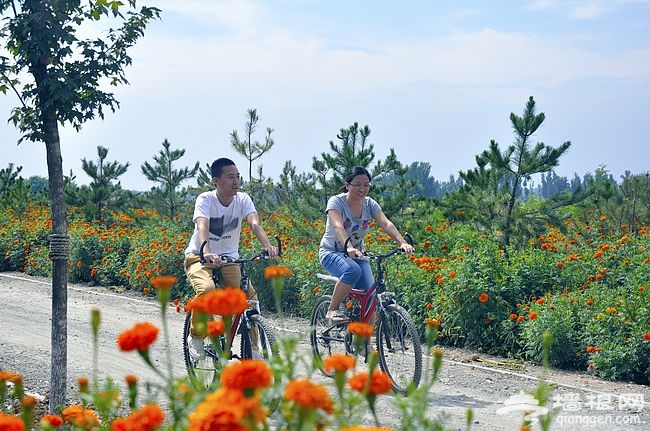 亲密秋之旅 骑行密云赏秋色瑰丽
