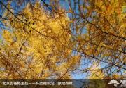 喇叭沟门赏秋游玩实用攻略