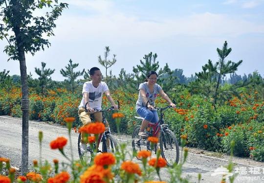 亲密秋之旅 骑行密云赏秋色瑰丽