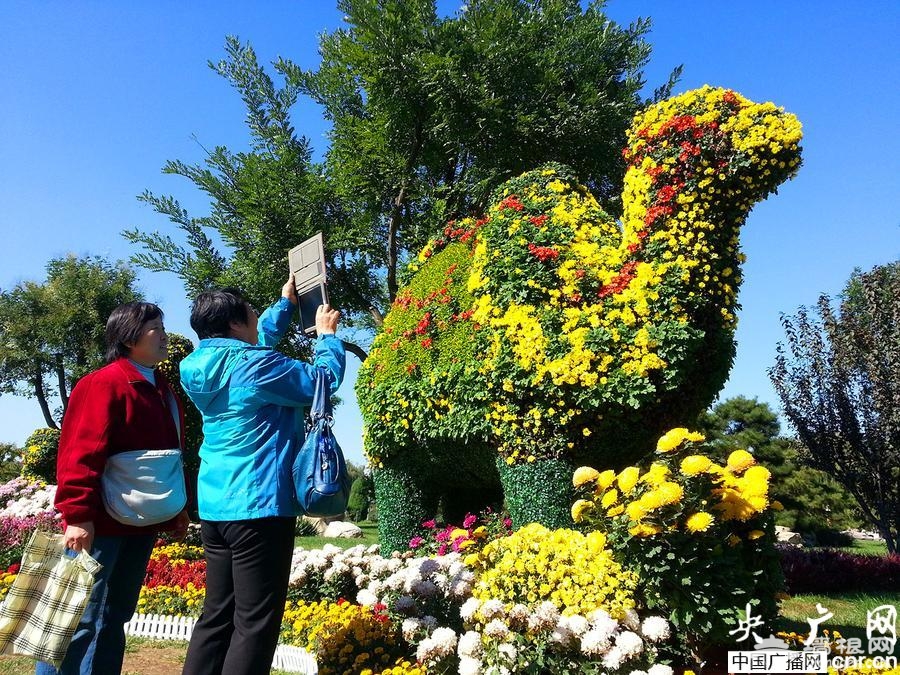 金骆驼亮相北京世界花卉大观园[墙根网]