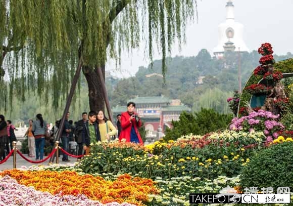 北京开封菊花文化节在北海公园拉开帷幕[墙根网]