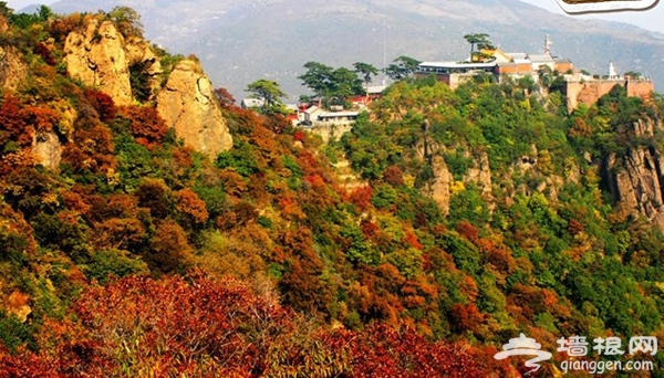 金秋时节赏秋景 妙峰红叶庆金秋