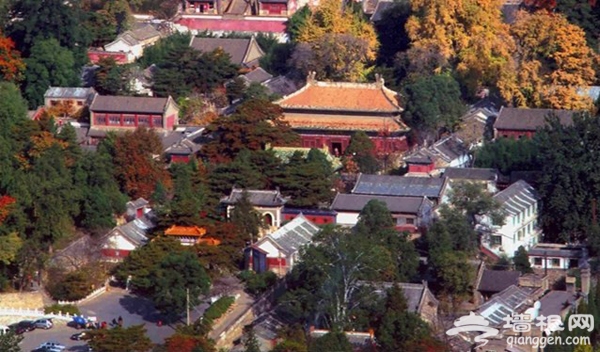 祈福赏红叶 潭柘龙袍临古寺