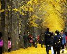 北京11月份去哪玩 金秋赏彩叶享受最纯正的大自然美景