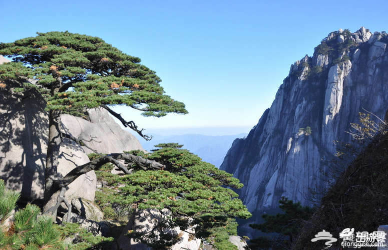 黄山旅游 黄山旅游