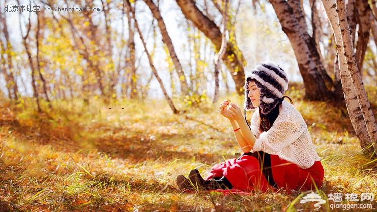坝上草原金秋摄影行 北京周边最美摄影地(图)