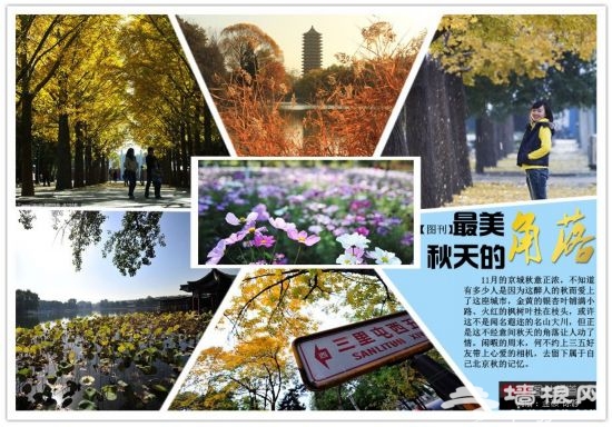 秋意浓 京城秋天十大最美角落摄影游
