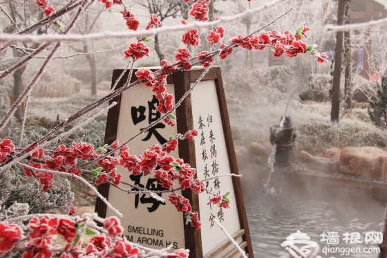 盘点河北冬季泡温泉好去处[墙根网]
