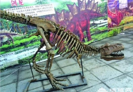 “侏罗纪公园”来到青岛恐龙主题公园 孩子与恐龙亲密接触