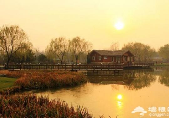 北京古塔公园 最美夕阳景