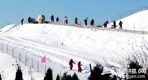 疯狂滑雪季 玩转石家庄滑雪场[墙根网]