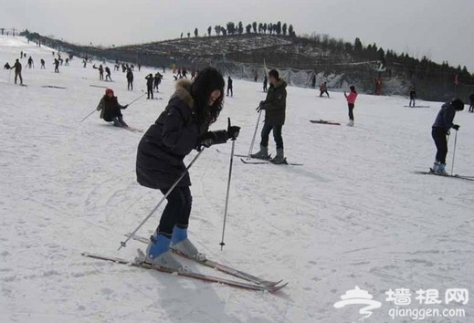 疯狂滑雪季 玩转石家庄滑雪场[墙根网]