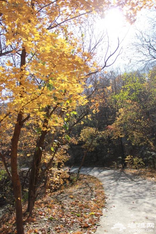 2013深秋北京游玩好去处（线路推荐+交通指南）