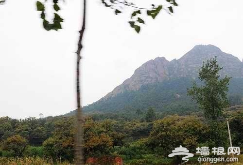 庄里骑行去哪儿？周末我们骑行出游[墙根网]