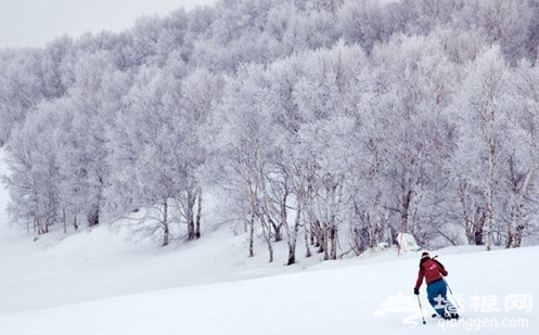 多乐美地滑雪场