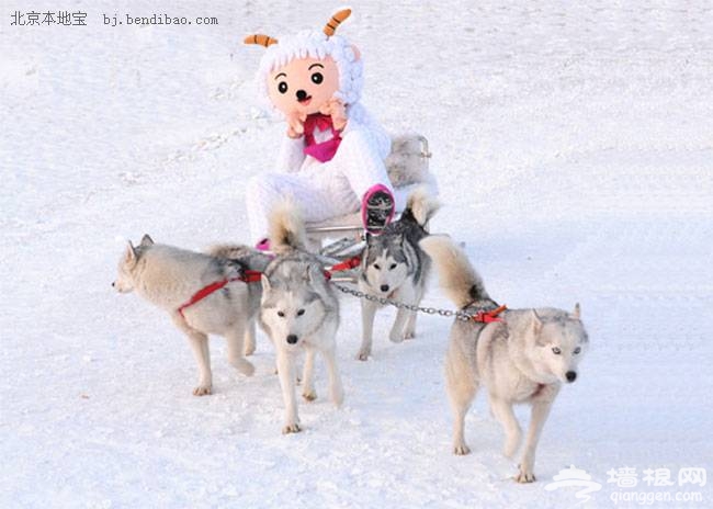 渔阳国际滑雪场 适合带孩子去的滑雪场