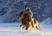 2014通州运河冰雪季 踏雪赏冰醉通州