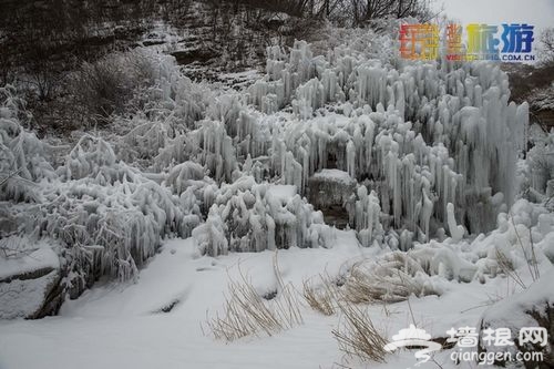 2014年的第一场雪 京城赏雪景十大好去处