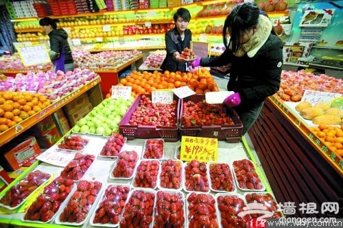 上海草莓采摘游提前启动 草莓产量仅去年6成